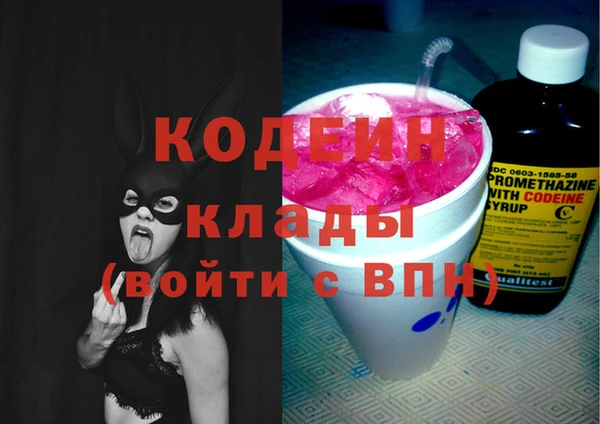крисы Няндома