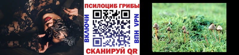 Псилоцибиновые грибы мухоморы Снежногорск