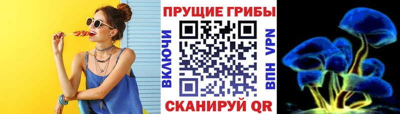 kraken как зайти Снежногорск Галлюциногенные грибы Psilocybe