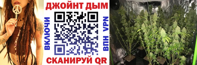 Бошки марихуана MAZAR Снежногорск